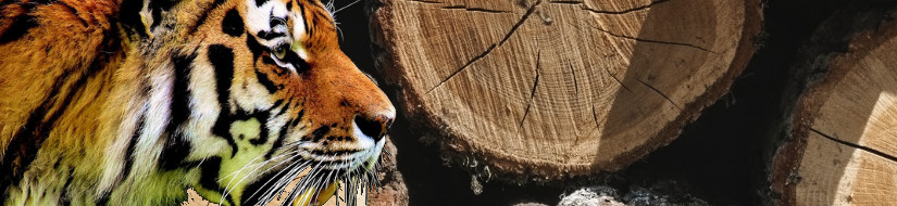 Comercio ilegal de especies y furtivismo Comercio ilegal de especies y furtivismo