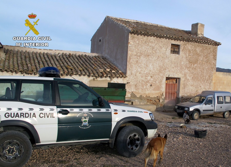 La Guardia Civil inmoviliza 300 cabezas de ganado ovino y caprino contagiadas con sarna en Jumilla