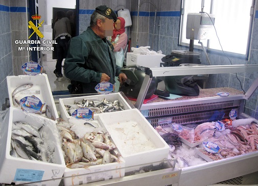 742 kilos de distintas especies marinas –doradas, besugos, potas, sardinas y bacaladillas– se encontraban a la venta en pésimas condiciones higiénico-sanitarias. Otros 182 kilos de productos pesqueros han sido intervenidos en el interior de una furgoneta en condiciones inadecuadas de refrigeración y sin autorización para el transporte de alimentos frescos