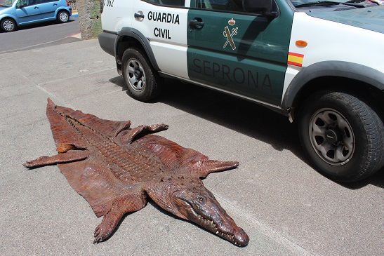 El Tráfico ilegal y el Furtivismo de vida silvestre constituye una de las mayores  amenazadas para la biodiversidad a nivel mundial, en este sentido, se aprobó recientemente el “Plan de Acción Español contra el Tráfico Ilegal y el Furtivismo Internacional de Especies Silvestres” que dará cumplimiento a una prioridad en la conservación de especies de fauna y flora amenazadas, convirtiéndose además, en el primer plan de acción nacional en la Unión Europea.