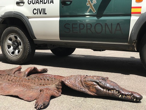 El Tráfico ilegal y el Furtivismo de vida silvestre constituye una de las mayores  amenazadas para la biodiversidad a nivel mundial, en este sentido, se aprobó recientemente el “Plan de Acción Español contra el Tráfico Ilegal y el Furtivismo Internacional de Especies Silvestres” que dará cumplimiento a una prioridad en la conservación de especies de fauna y flora amenazadas, convirtiéndose además, en el primer plan de acción nacional en la Unión Europea.