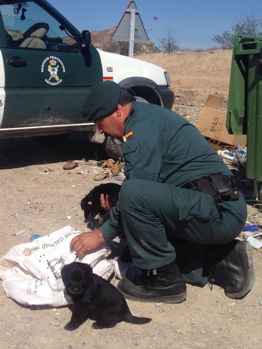 La Guardia Civil rescata a 6 cachorros que habían arrojado a un contenedor de basura