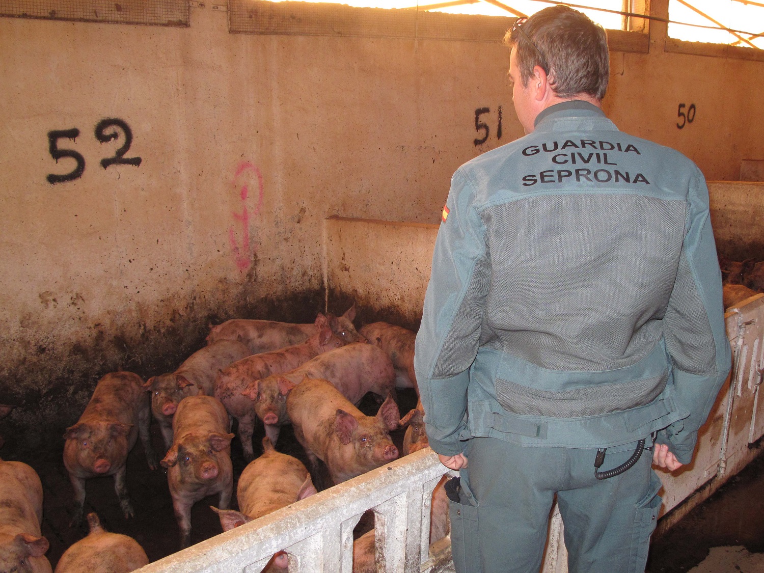 Agentes de la Patrulla del Servicio de Protección de la Naturaleza (SEPRONA) de la Guardia Civil, investiga a los presuntos autores de un delito de maltrato animal.