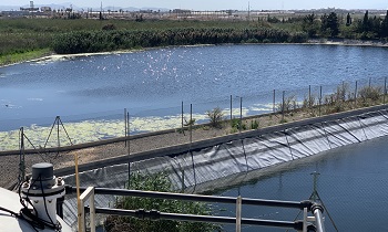 Embalse de agua regenerada a la salida de la EDAR. Foto Ana Allende.​