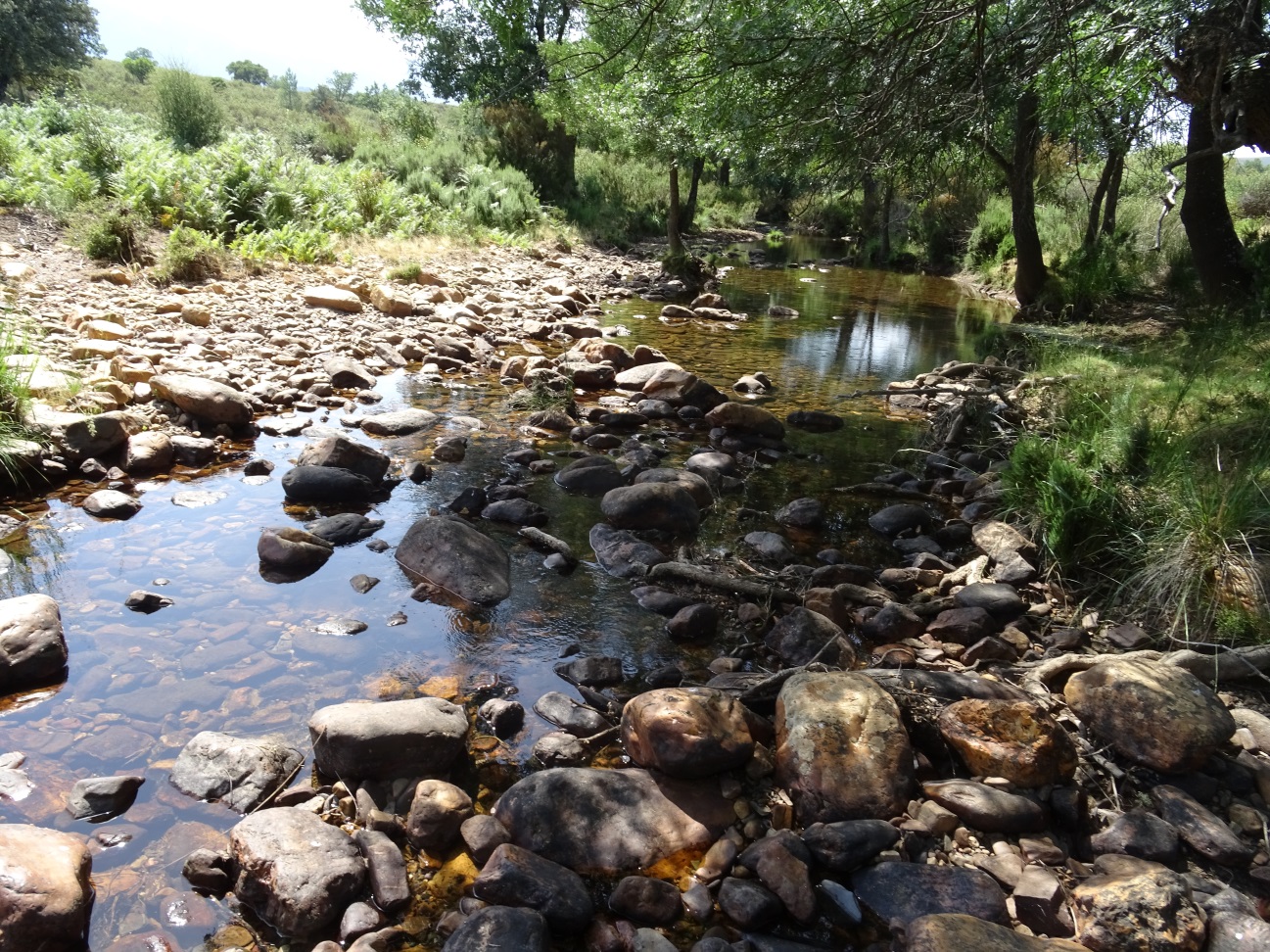 Tramo medio del río Guadarranque