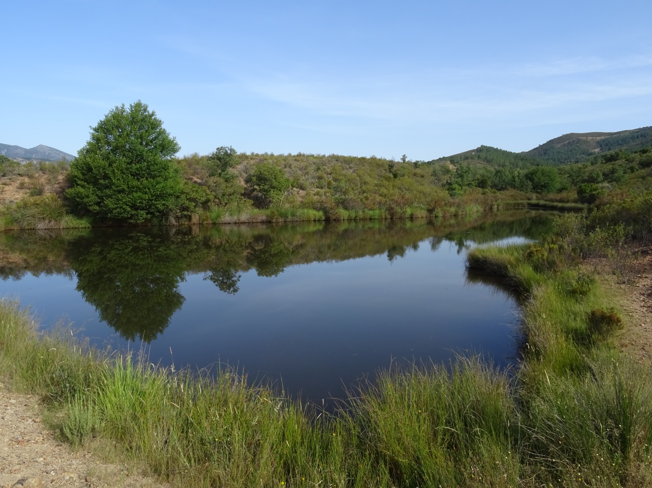 Zona de llanura de inundación amplia en la zona alta de la RNF del Río Guadarranque