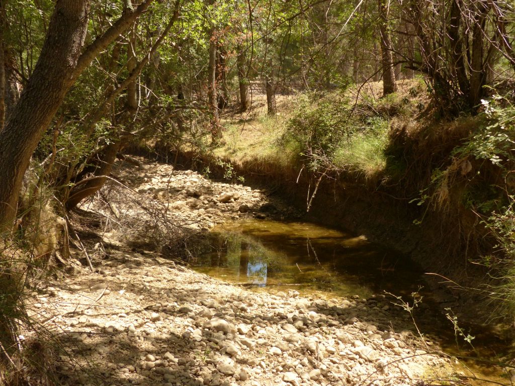 Charca formada en la zona más profunda del cauce de la reserva natural fluvial Río Guadalentín durante la época de estiaje