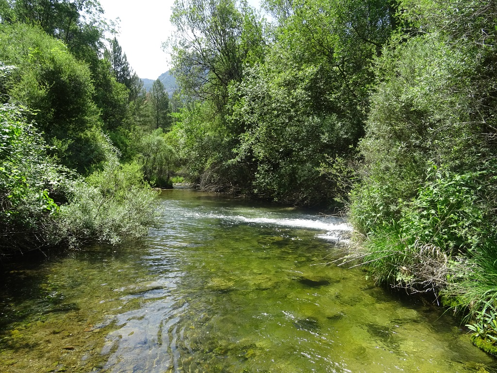 Desembocadura del río Madera en el río Segura (vista desde el río Madera)