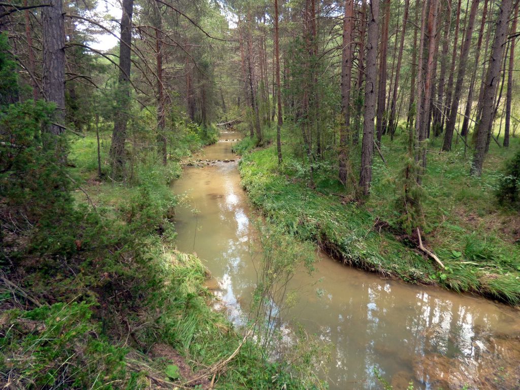 Secuencia rápido-remanso en grada en la reserva natural fluvial Río Alfambra