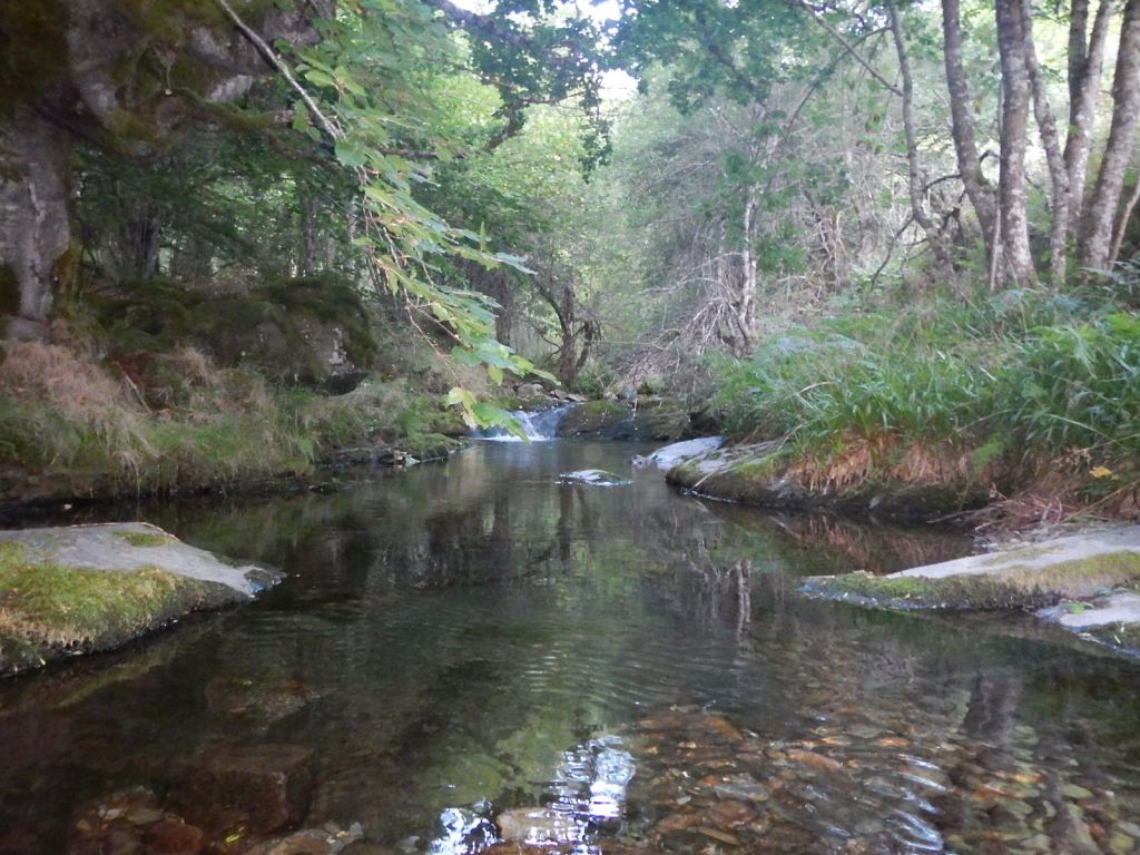 Poza en la reserva natural fluvial Río Tirón