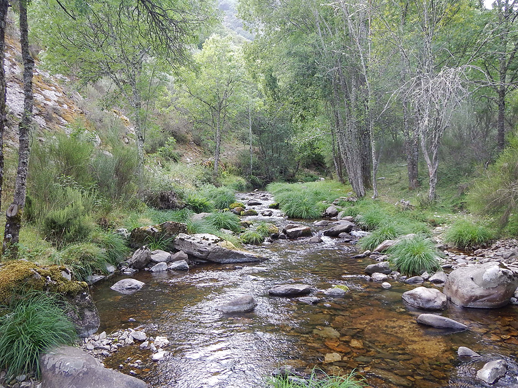 Sucesión de rápido - remanso en la reserva natural fluvial Río Gatón