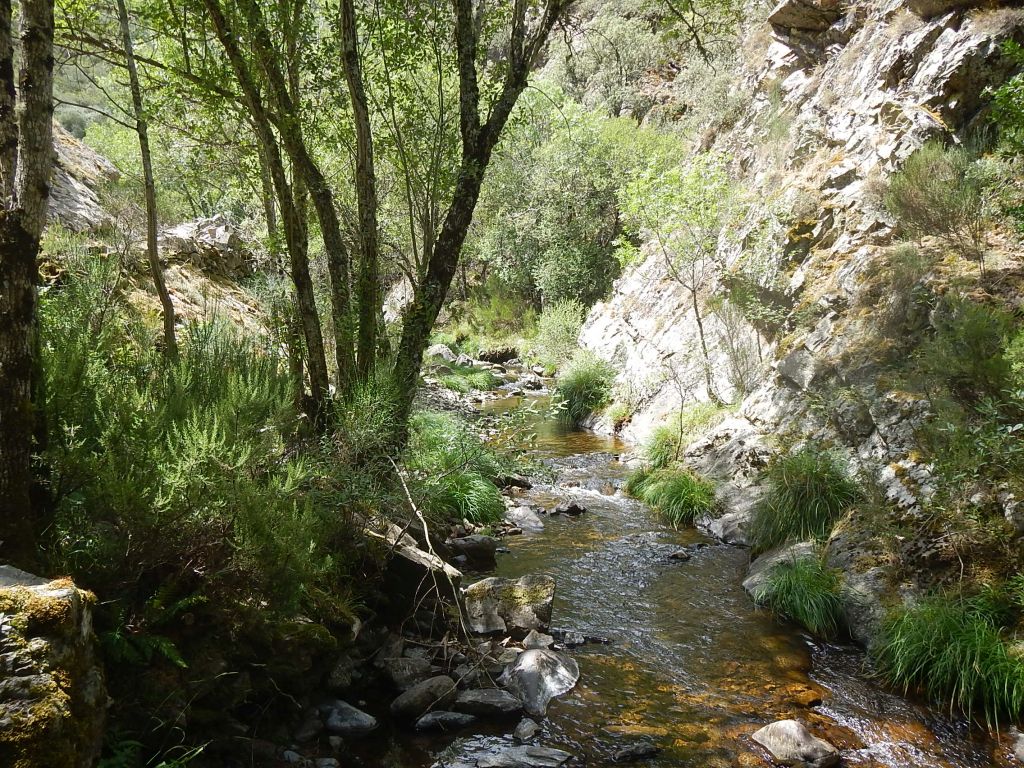 Tramo encajado de la reserva natural fluvial Río Gatón