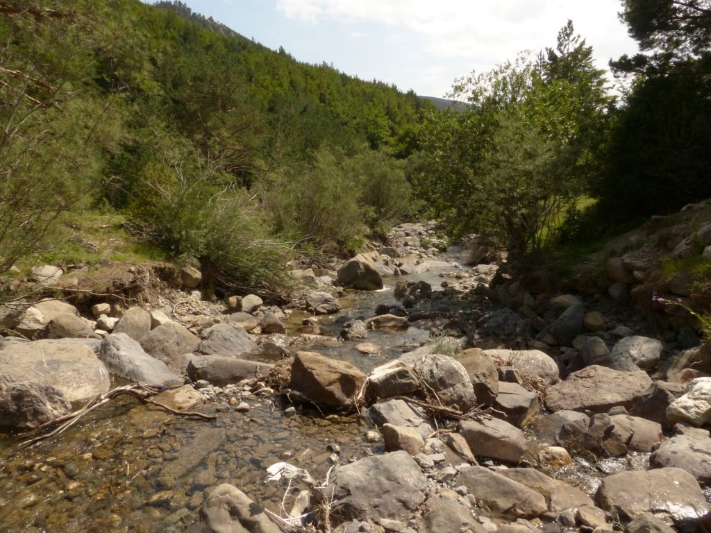 Bloques de piedra en el cauce de la reserva natural fluvial Río Estarrún