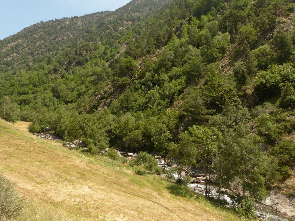 Campo de cultivo en la margen derecha de la reserva natural fluvial Río Vallfarrera