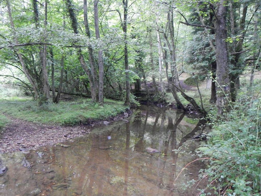 Aguas remansadas en la reserva natural fluvial Río Santa Engracia