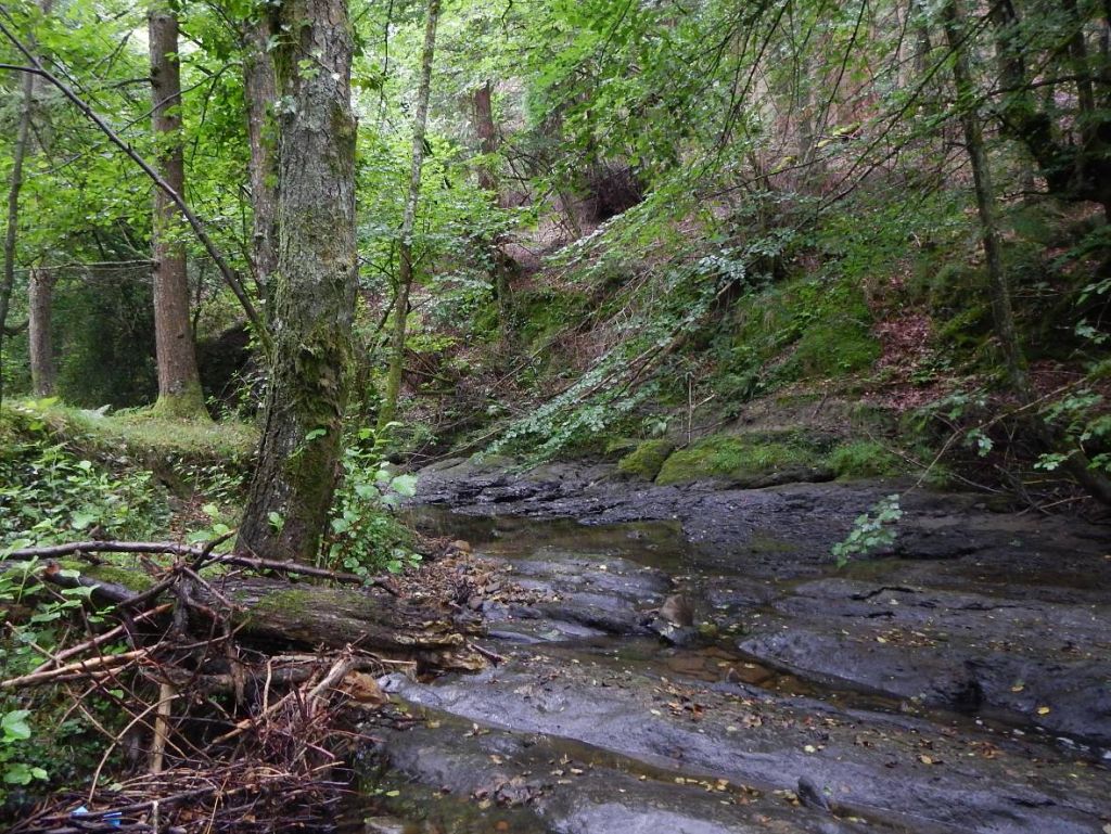 Cauce sobre roca en la reserva natural fluvial Río Santa Engracia