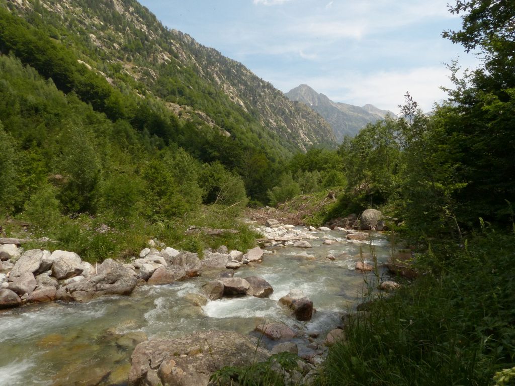 Tramo abierto del cauce con restos de material vegetal en la reserva natural fluvial Río Salenca