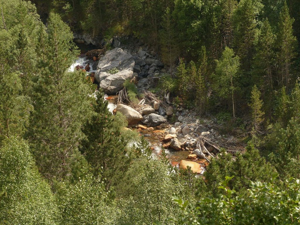 Vegetación acumulada, arrastrada por las crecidas en la reserva natural fluvial Río Vallibierna