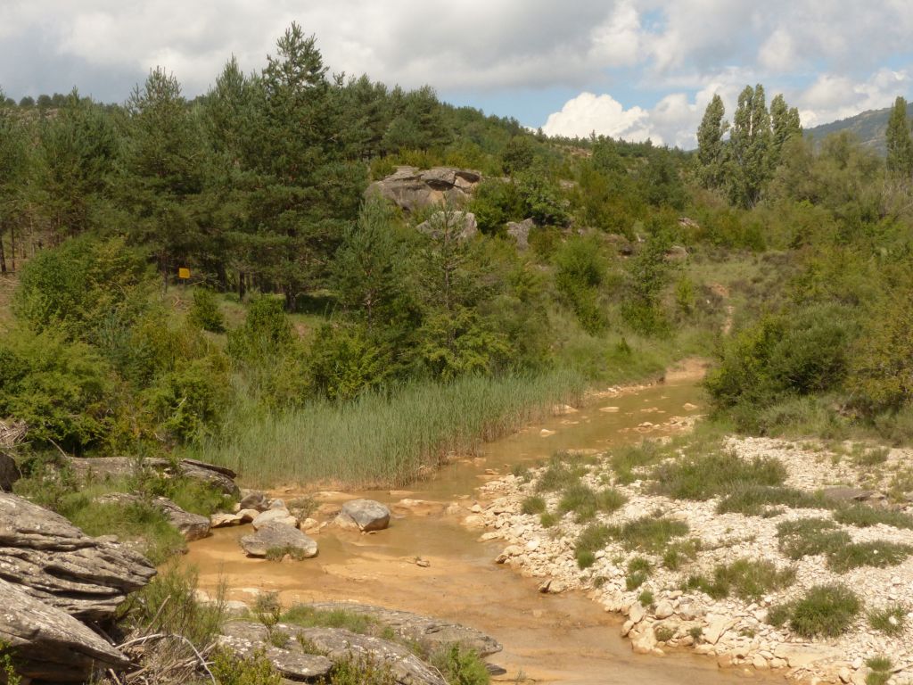 Vista general del cauce en la reserva natural fluvial Río Isuala