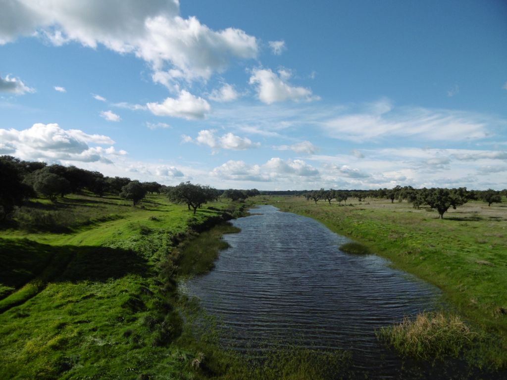 Tramo recto y sin presencia de vegetación de ribera en la reserva natural fluvial Riveras de Albarragena, del Fraile y del Alcorneo hasta el río Gévora