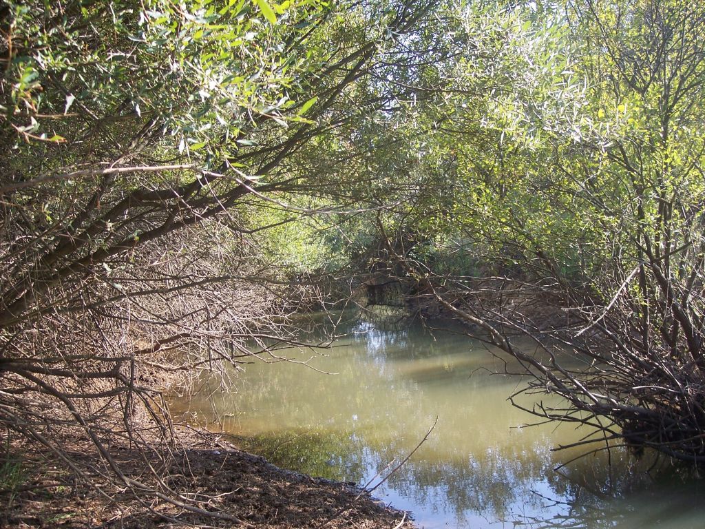 La reserva natural fluvial Río Gargáligas en su tramo final, en las proximidades del embalse del río Gargáligas