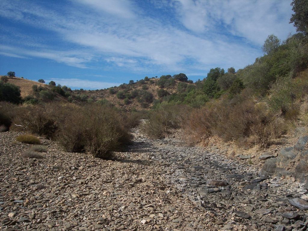 Tamujar orlando las márgenes del cauce de estiaje de la reserva natural fluvial Rivera Grande de la Golondrina mostrando los cantos y bloques de piedra del lecho, a la altura del vado de la colada de Sanlúcar de Guadiana