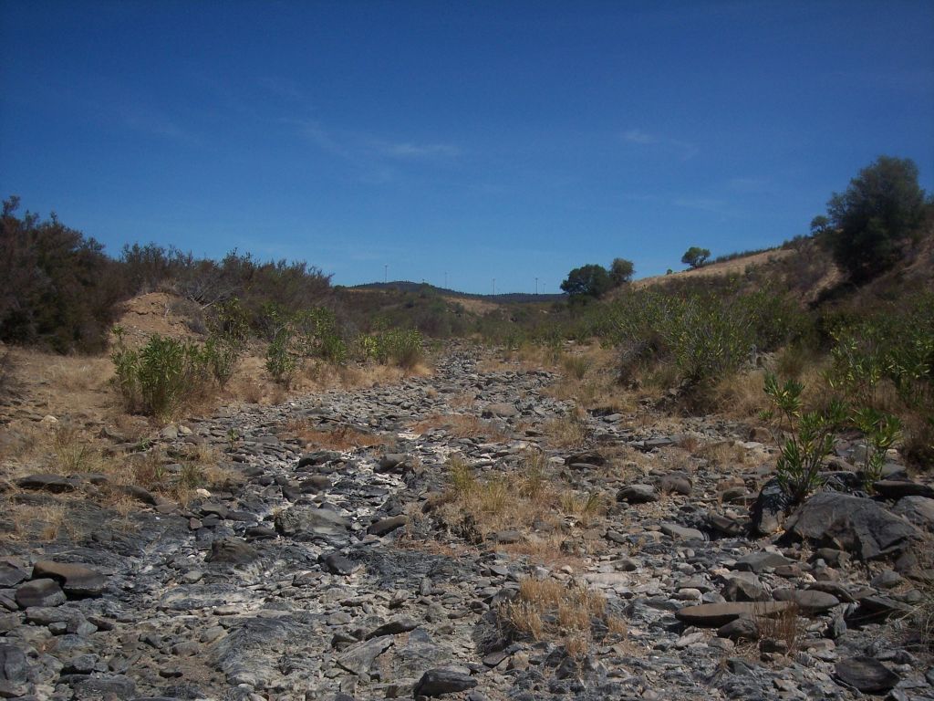 Adelfar junto al cauce de la reserva natural fluvial Rivera Grande de la Golondrina en época de estiaje. Al fondo, parque eólico de la sierra de Las Tres Piedras