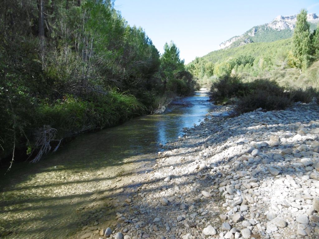 Barras laterales de cantos y gravas de la reserva natural fluvial Río Tus