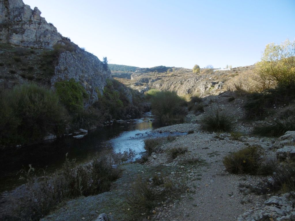 Llanura de inundación estrecha y discontinua de la reserva natural fluvial Río Zumeta