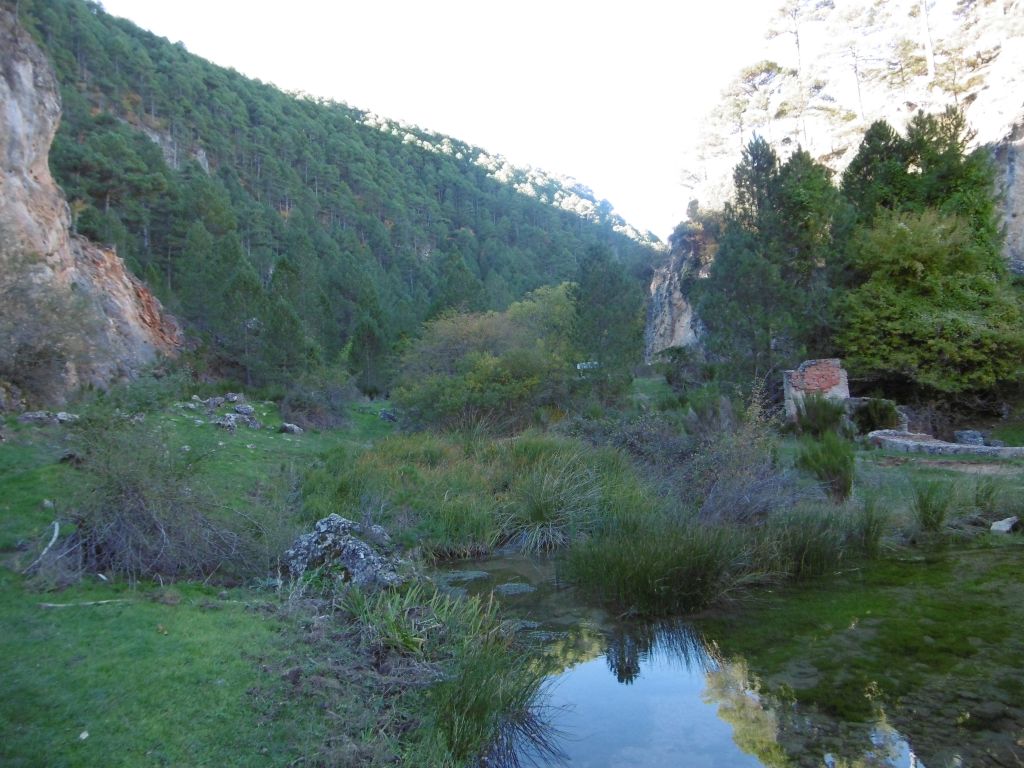 Presencia de estructuras abandonadas en la llanura de inundación de la reserva natural fluvial Arroyos de los Endrinales y de Las Hoyas