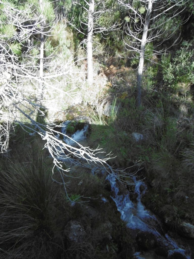 Estructura de rápidos continuos en el cauce de la reserva natural fluvial Arroyo del Puerto