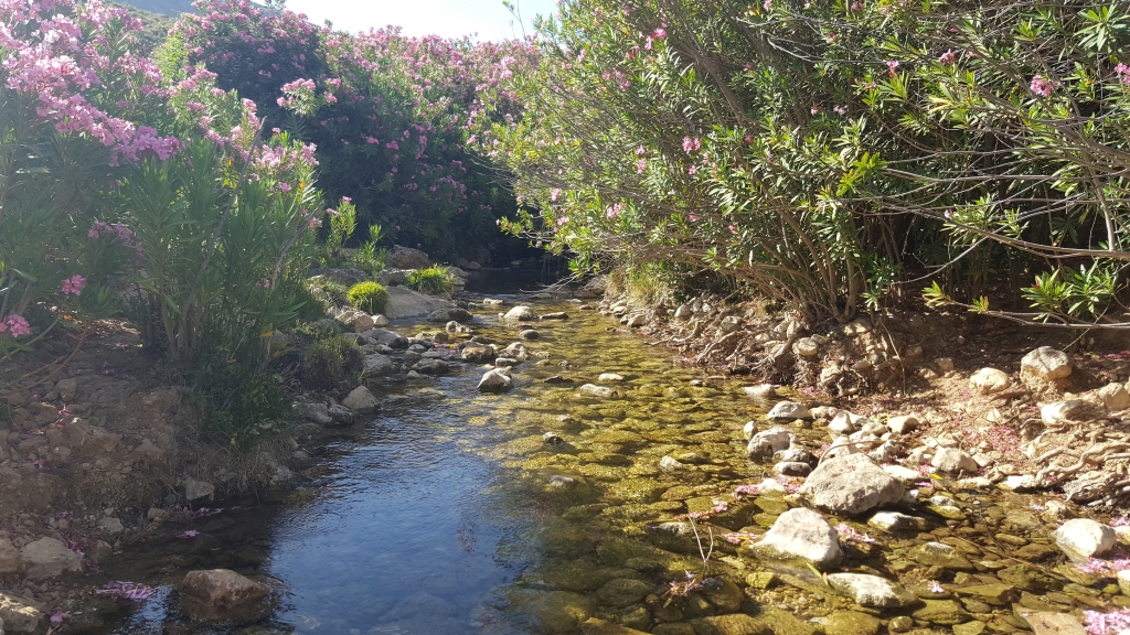 Reserva Natural Fluvial Alto Guadalevín