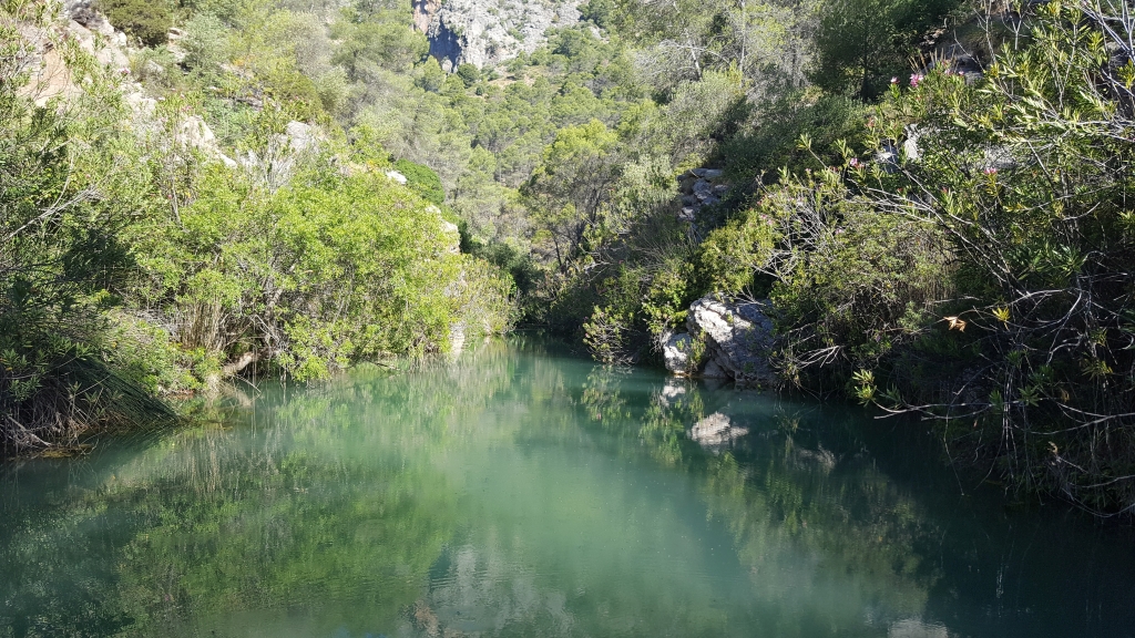 Reserva Natural Fluvial Alto Turón