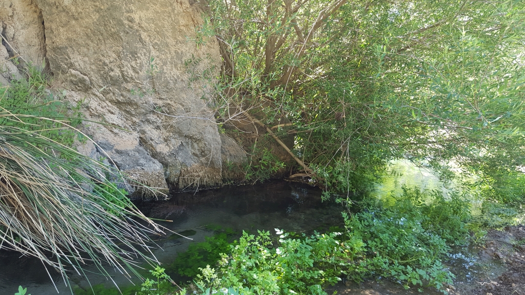 Reserva Natural Fluvial Alto Turón