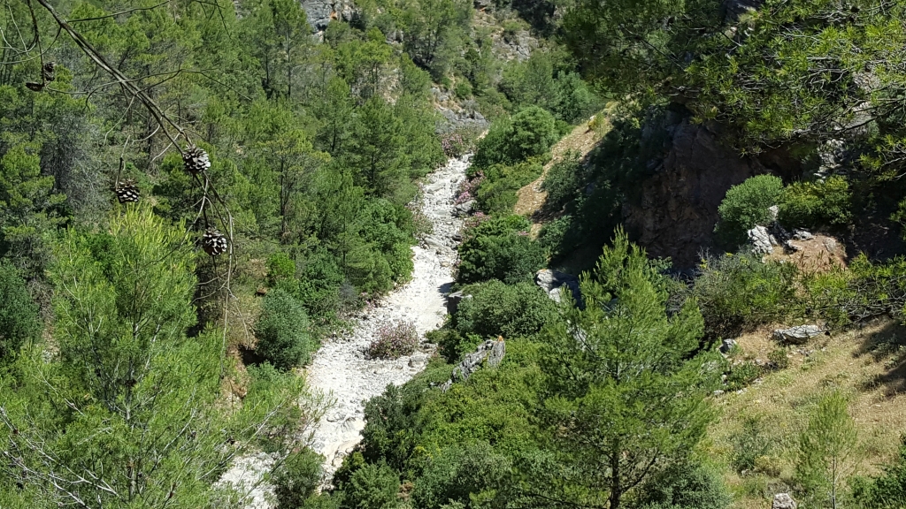 Reserva Natural Fluvial Alto Turón