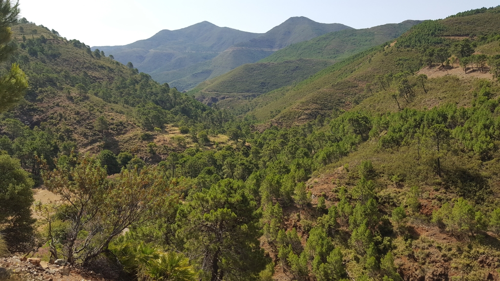 Reserva Natural Fluvial Cabecera Verde de Marbella