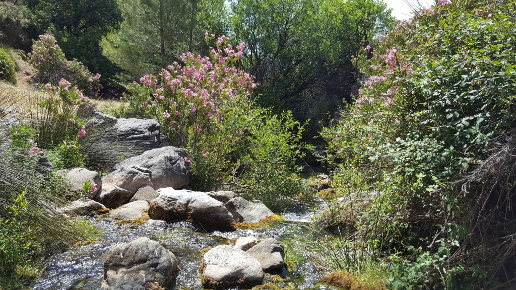 Reserva Natural Fluvial Cabecera Verde de Marbella