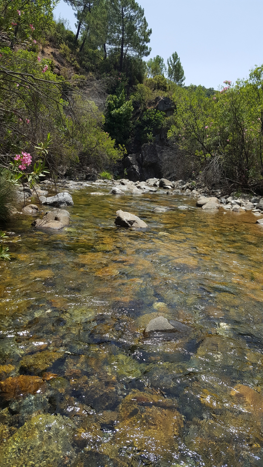 Reserva Natural Fluvial Medio-Alto Verde de Marbella