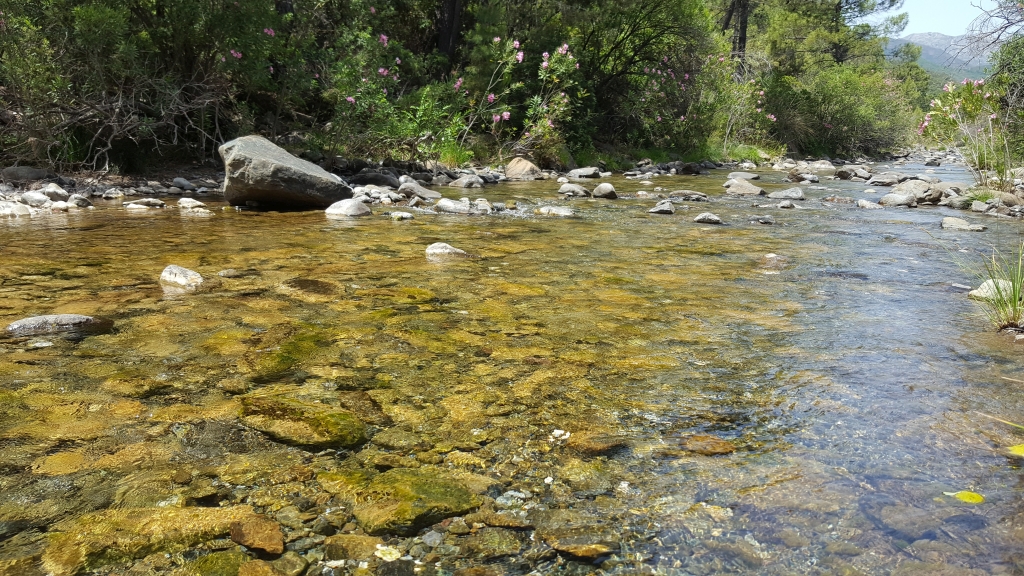 Reserva Natural Fluvial Cabecera Verde de Marbella