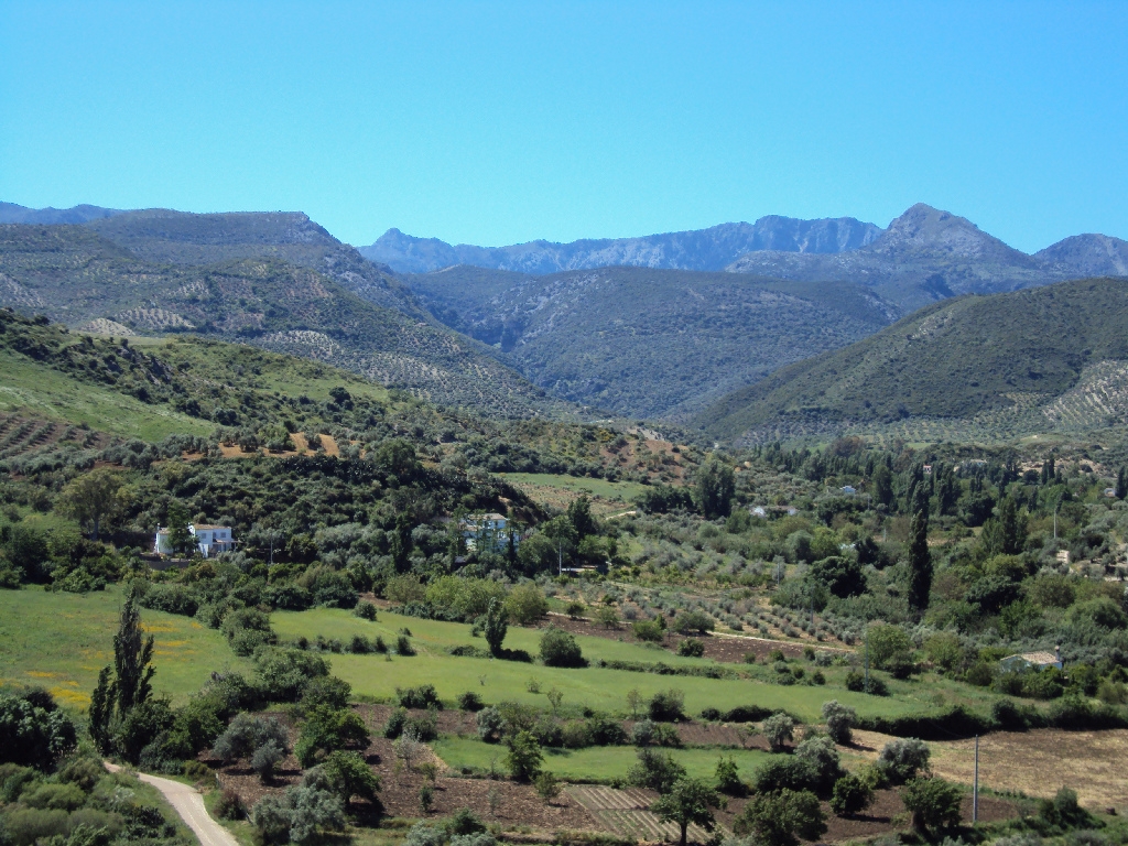 Reserva Natural Fluvial Arroyo Ballestero