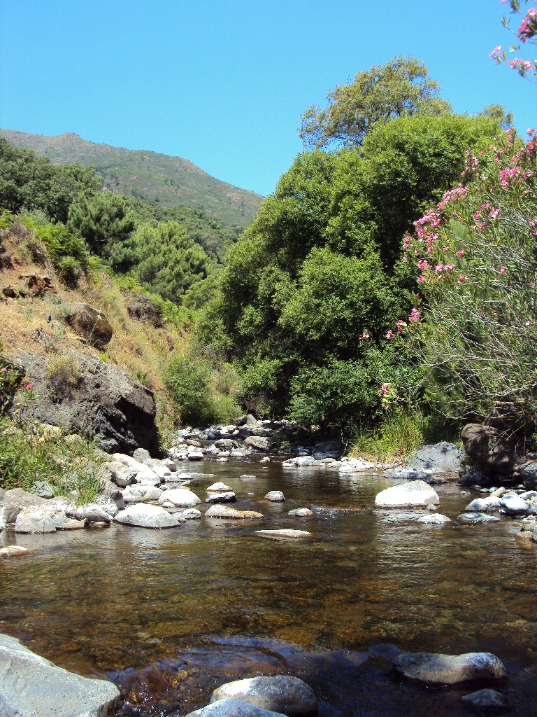 Reserva Natural Fluvial Alto Guadaiza