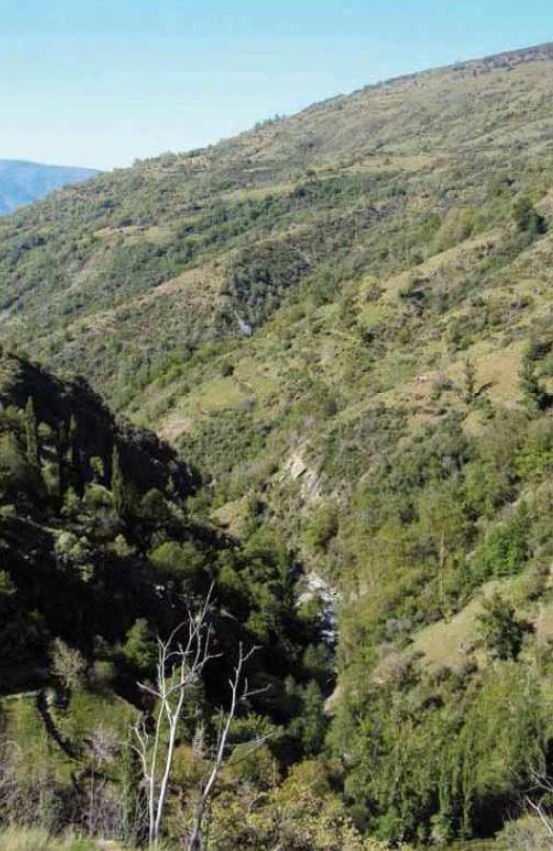 Reserva Natural Fluvial Alto Poqueira