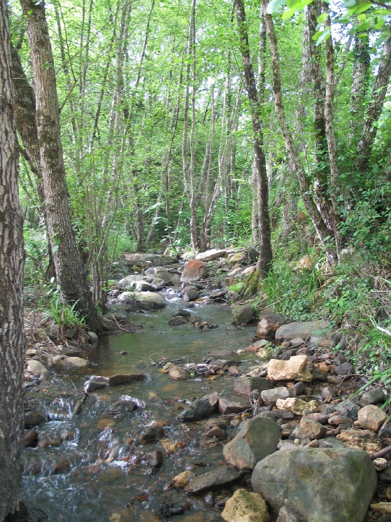 Reserva Natural Fluvial Valdeinfierno - La Hoya