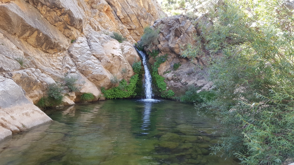 Reserva Natural Fluvial Alto Guadalevín