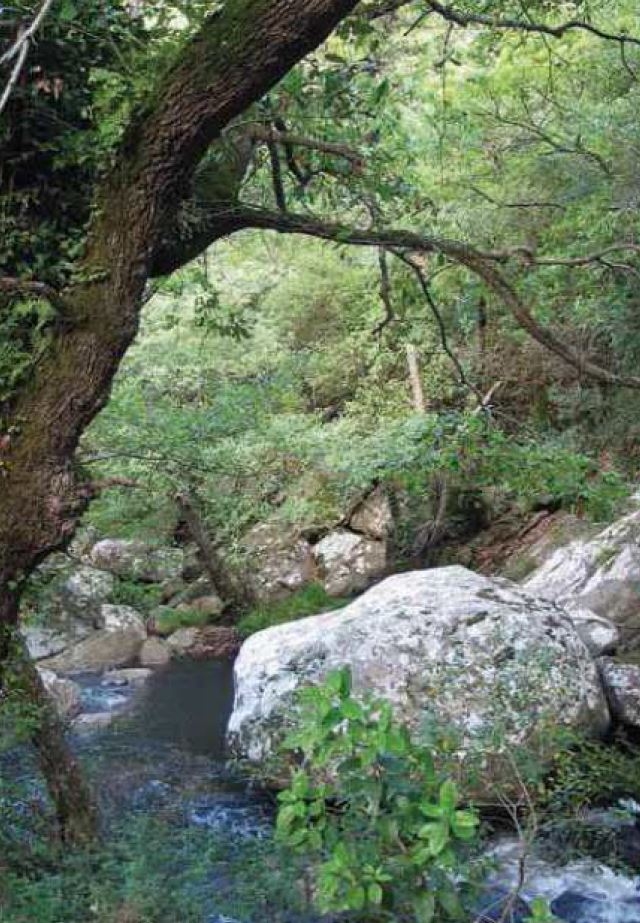 Reserva Natural Fluvial Raudal