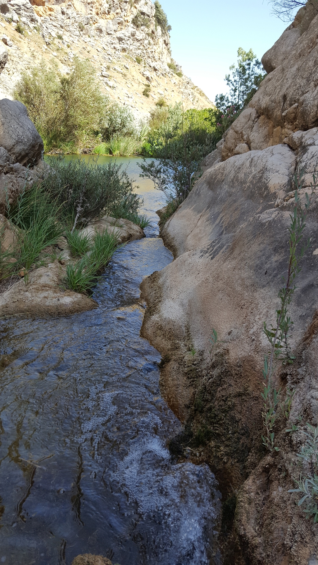 Reserva Natural Fluvial Alto Guadalevín