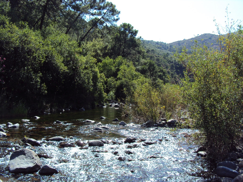 Reserva Natural Fluvial Alto Guadalmansa