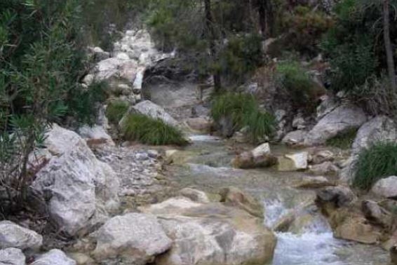 Reserva Natural Fluvial Chíllar