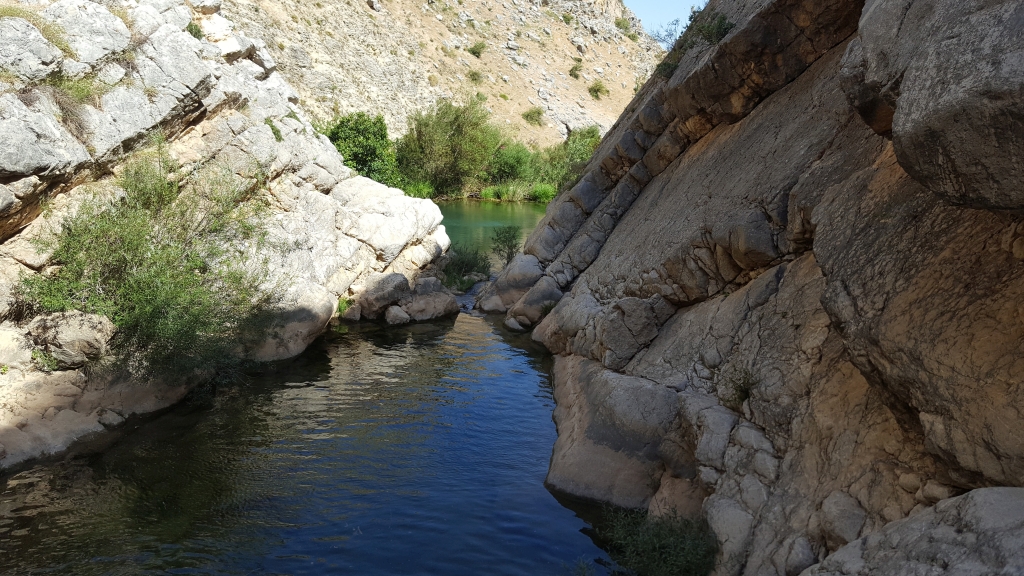 Reserva Natural Fluvial Alto Guadalevín