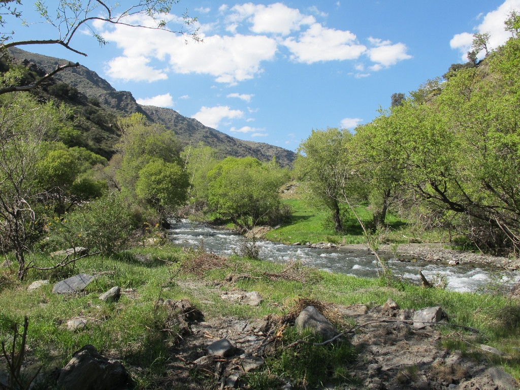 Reserva Natural Fluvial Alto Trevélez